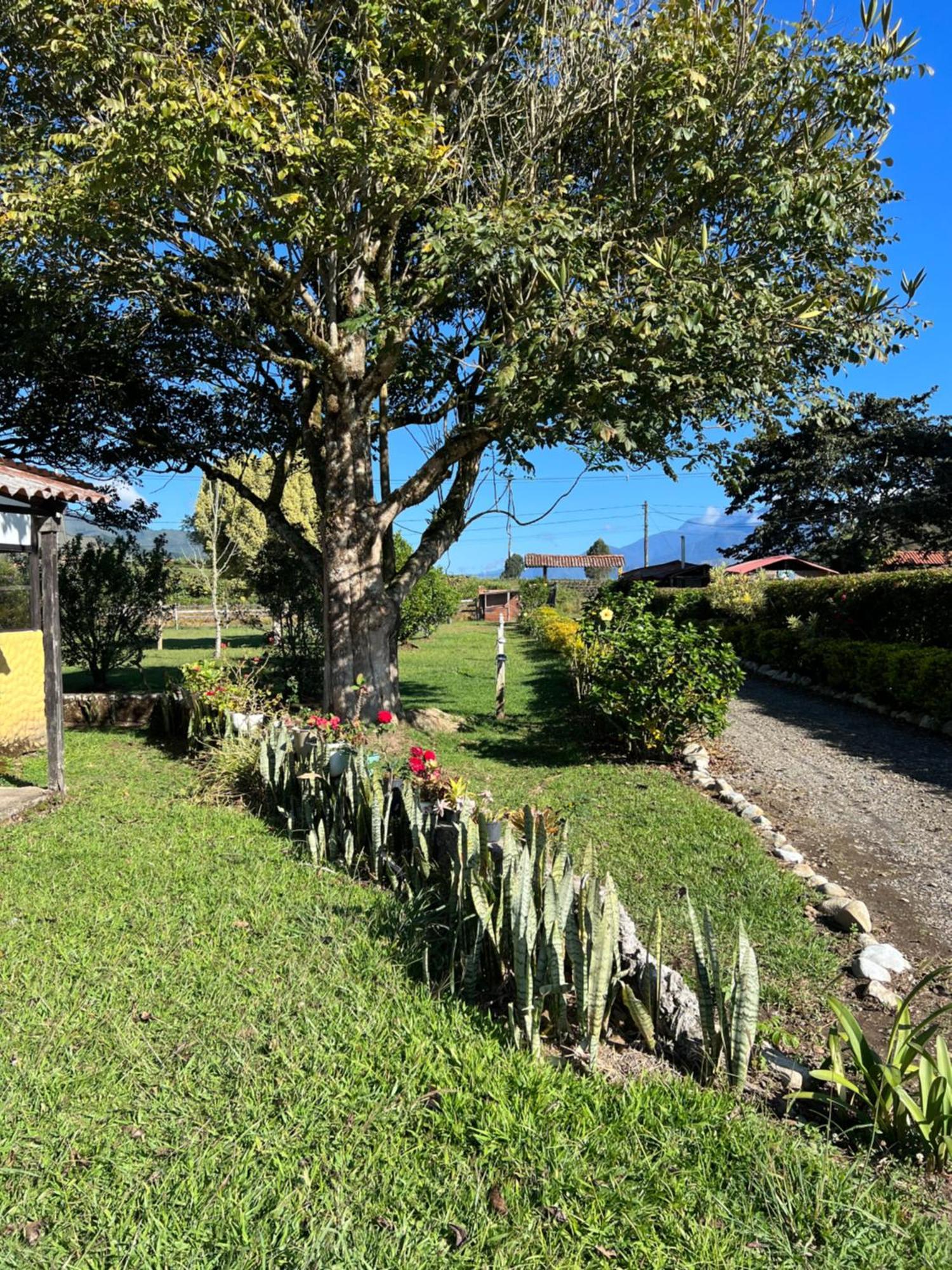 Finca Hotel Paraiso Urrao Екстер'єр фото