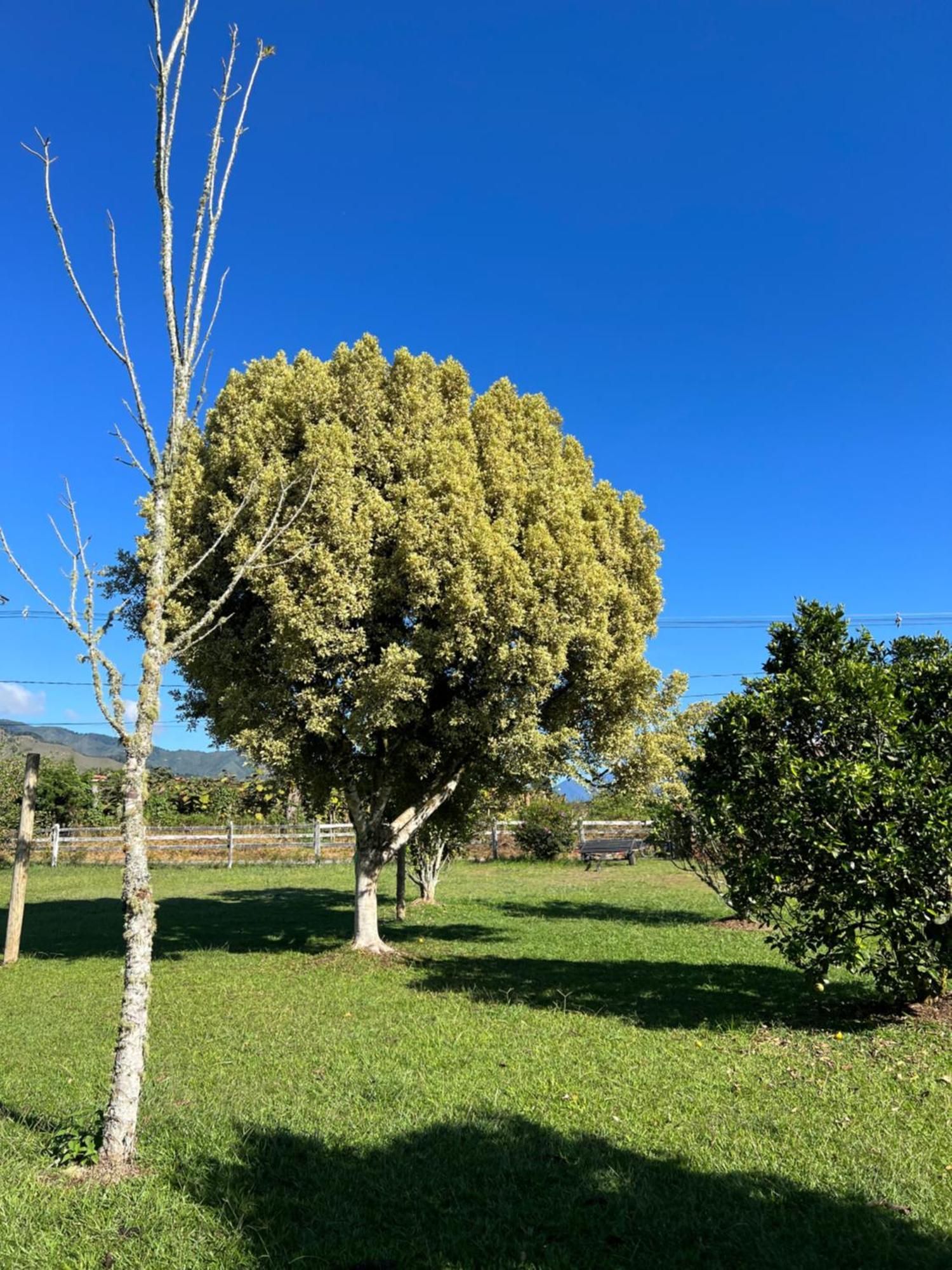 Finca Hotel Paraiso Urrao Екстер'єр фото