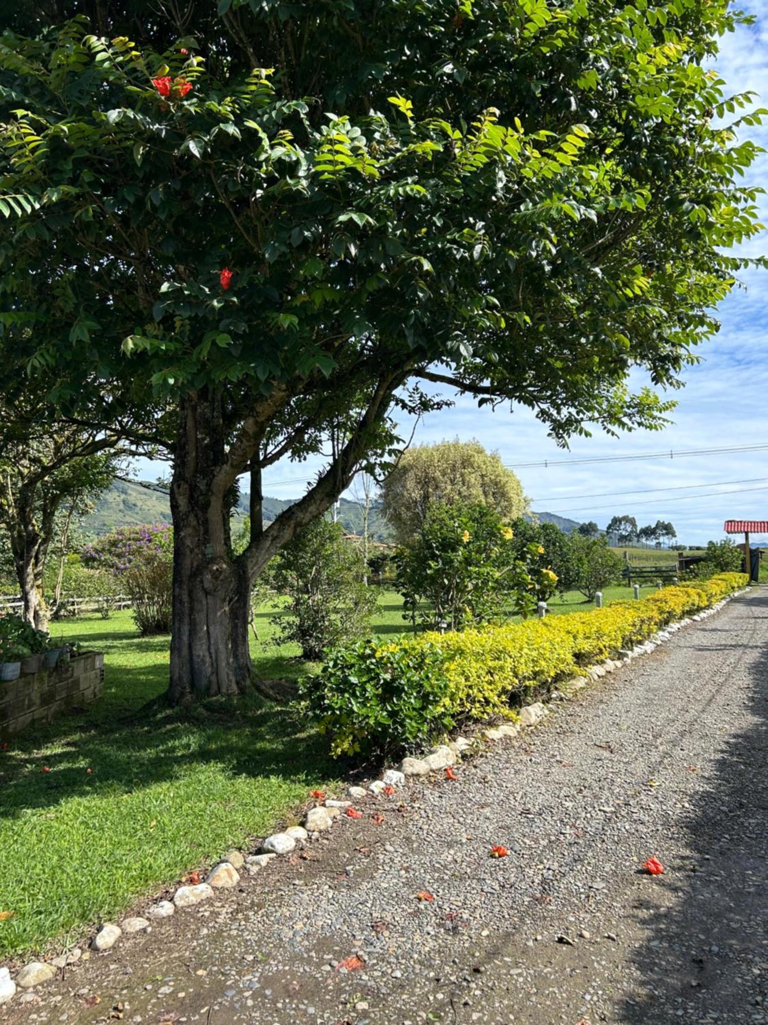 Finca Hotel Paraiso Urrao Екстер'єр фото